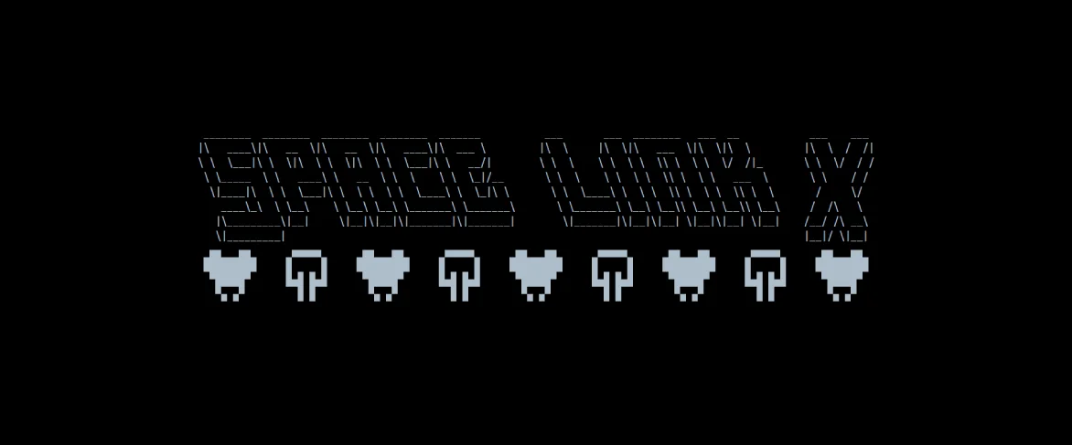 Space Link or How to Test the Security of Your Internal APIs