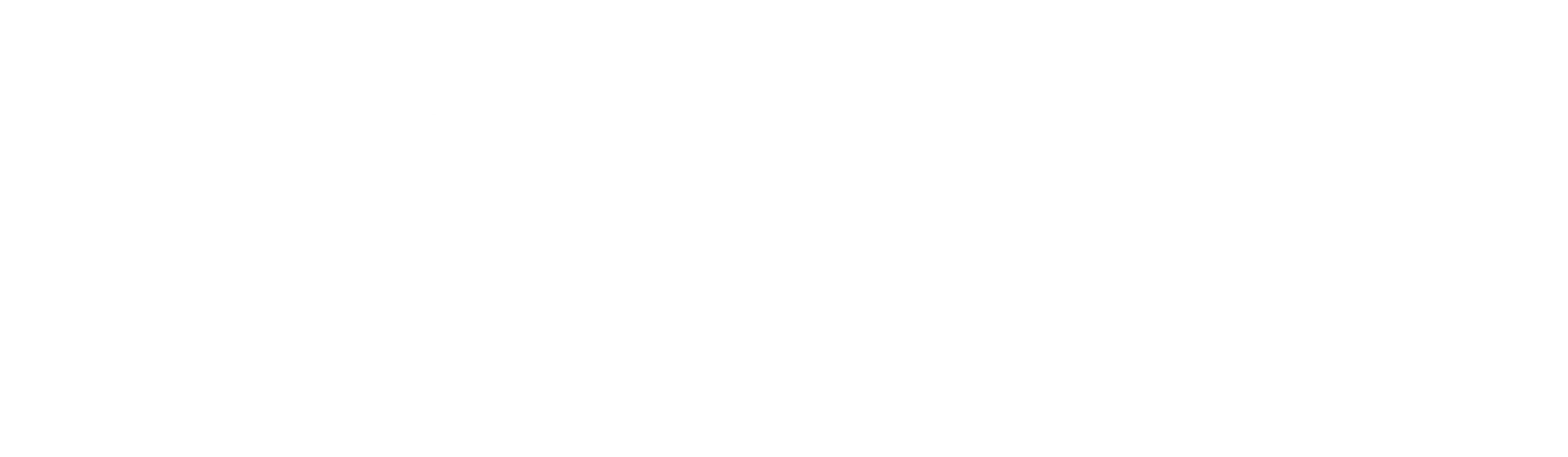 Logo Nexi