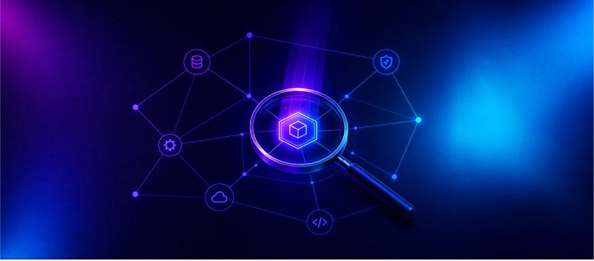 Interconnected software development