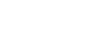 Wiz logo